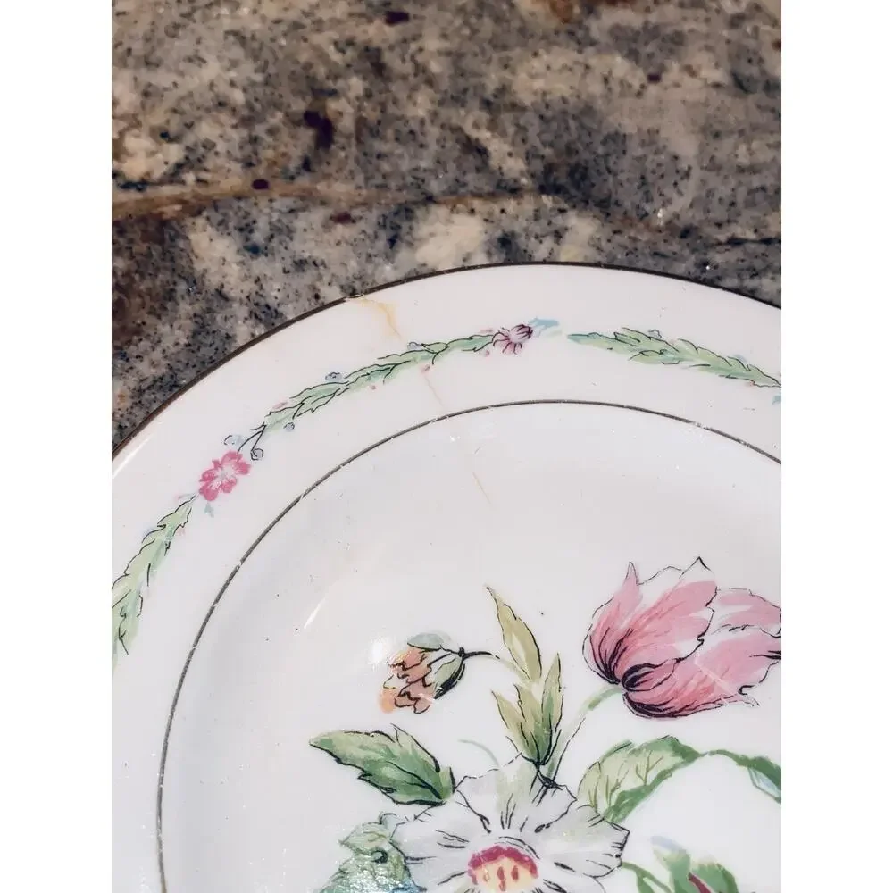 20 Theodore Haviland China New York Garden Flower Dinner Plates Lot Set Vintage